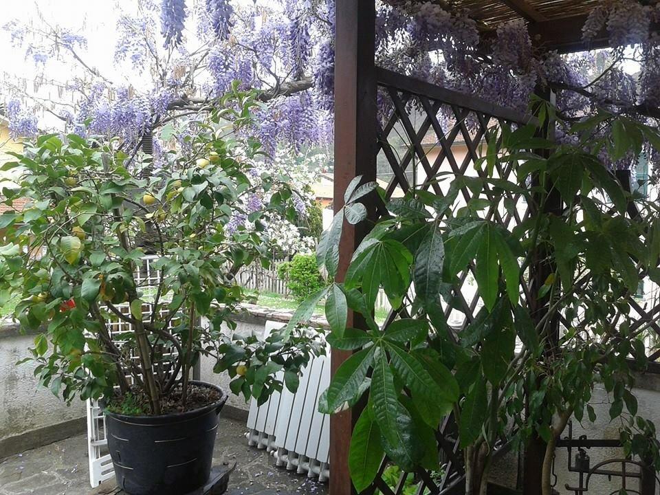 Il Ghiro B&B Рикко-дель-Гольфо-ді-Спеція Екстер'єр фото