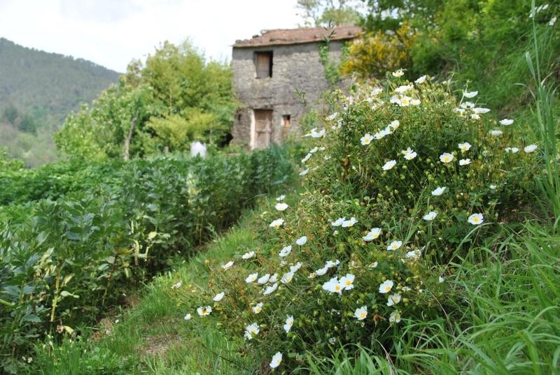 Il Ghiro B&B Рикко-дель-Гольфо-ді-Спеція Екстер'єр фото