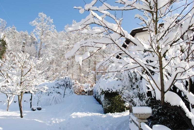 Il Ghiro B&B Рикко-дель-Гольфо-ді-Спеція Екстер'єр фото
