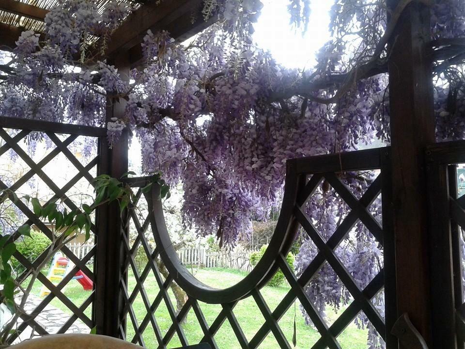 Il Ghiro B&B Рикко-дель-Гольфо-ді-Спеція Екстер'єр фото