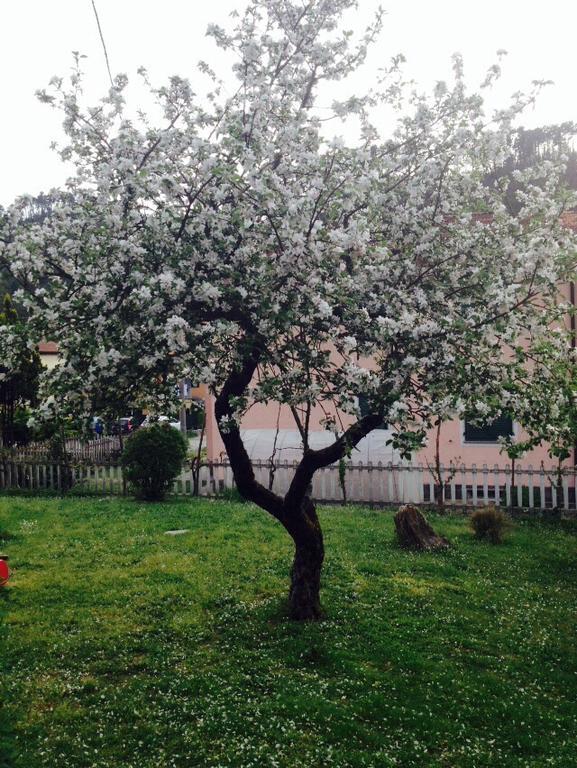 Il Ghiro B&B Рикко-дель-Гольфо-ді-Спеція Екстер'єр фото