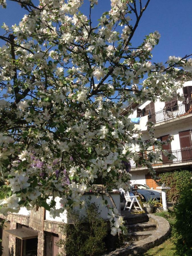 Il Ghiro B&B Рикко-дель-Гольфо-ді-Спеція Екстер'єр фото